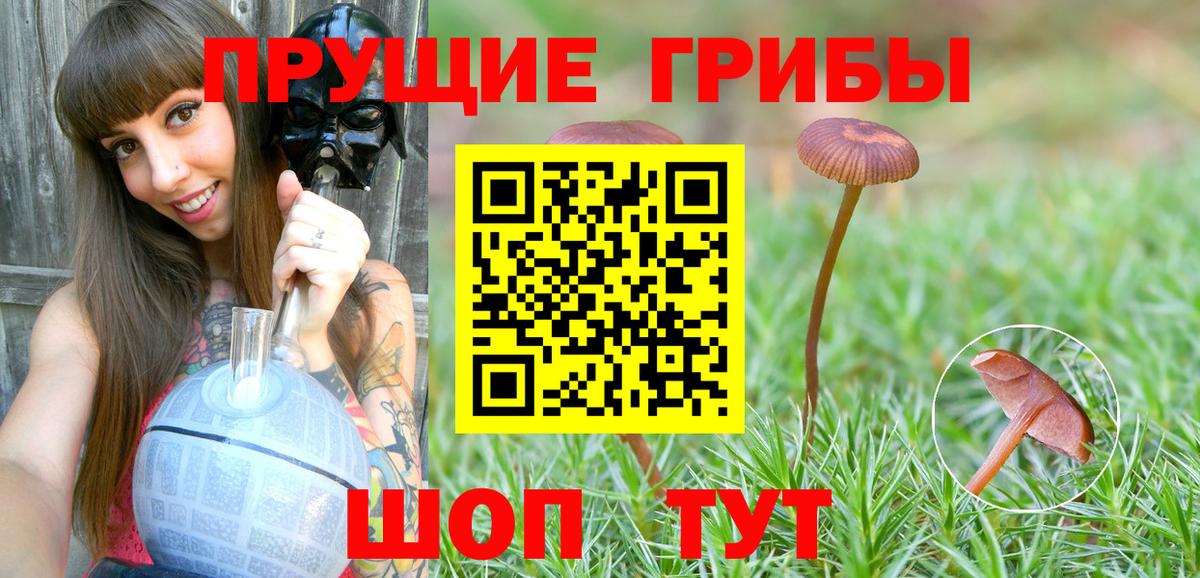 Нововоронеж  Галлюциногенные грибы ЛСД  Вход с VPN 
